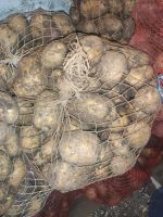 Лот: 19497497. Фото: 2. Картошка. Продукты
