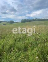 Лот: 25437954. Фото: 4. участок , село Еловое село Еловое... Красноярск