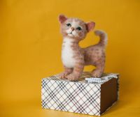Лот: 16420973. Фото: 5. Котик сухое валяние