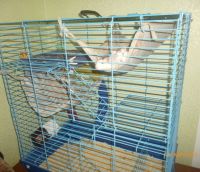 Лот: 5378336. Фото: 2. Большая клетка для грызунов. Животные и уход