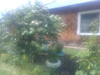 Лот: 12957230. Фото: 2. Квартира в Памяти 13 борцов. Продажа