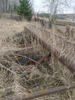 Лот: 25361747. Фото: 5. Грабли на трактор