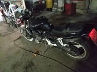 Лот: 11707520. Фото: 4. Suzuki gsf bandit 250. Красноярск