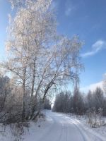 Лот: 25288855. Фото: 5. 1-комн. дача , село Частоостровское...