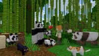 Лот: 15848322. Фото: 3. Minecraft ключ Windows 10 Edition... Компьютеры, оргтехника, канцтовары