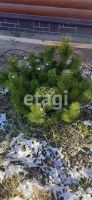 Лот: 25297317. Фото: 12. 4-комн. дом , посёлок Тартат посёлок...