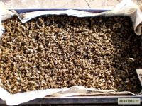 Лот: 5413191. Фото: 2. Подмор пчелиный. Красота и здоровье