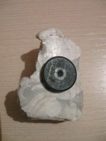 Лот: 25188965. Фото: 3. Магнит Собака с бантом. Сувениры, подарки