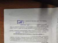 Лот: 18417540. Фото: 5. ППА Тирекс, пневматический пистолет