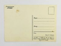 Лот: 23296746. Фото: 3. Роза. Красная. Открытка. 1964. Коллекционирование, моделизм