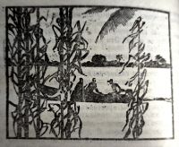 Лот: 21098342. Фото: 7. Луис Ногерас Рохелио - Мы, кто...