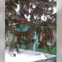 Лот: 13787847. Фото: 9. Продается дом 42 кв.м. 25 сот...