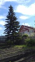 Лот: 11564942. Фото: 6. Продам дачу в черте города