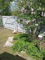 Лот: 25527071. Фото: 13. 3-комн. дача , садоводческое некоммерческое...