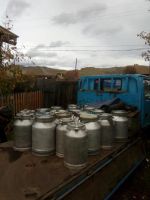 Лот: 11138399. Фото: 7. Пчелопакеты 2022! Карпатка!