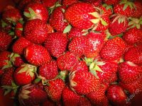 Лот: 4030393. Фото: 2. Продам дачу. Продажа
