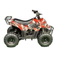 Лот: 25659204. Фото: 4. Квадроцикл MZ Grizzly 110. Красноярск