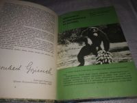 Лот: 21603586. Фото: 18. ок..(1092371)Среди животных Африки...