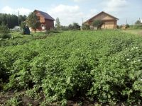 Лот: 15320406. Фото: 2. Дачный участок 10 соток. Продажа