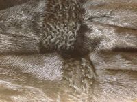 Лот: 3481243. Фото: 2. Продам шубу норковую с песцовым... Женская одежда