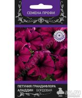 Лот: 11505144. Фото: 2. Петуния рассада, грандифлора... Семена, рассада, садовые растения