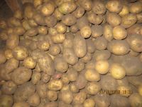 Лот: 8322795. Фото: 2. Картофель деревенский. Продукты