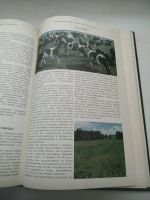 Лот: 19811290. Фото: 6. Энциклопедический словарь юного...