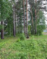 Лот: 25299541. Фото: 14. 4-комн. дача , деревня Мужичкино...