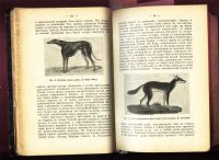 Лот: 19935366. Фото: 5. 5 интересных книг в одном переплёте...