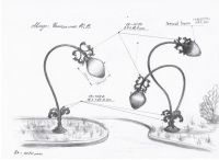 Лот: 10844913. Фото: 3. Требуется Художник - Дизайнер... Услуги