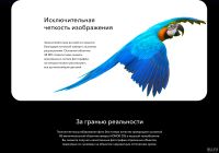 Лот: 15058395. Фото: 9. Новый! Смартфон Honor 20S 6/128gb...