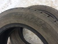 Лот: 17913791. Фото: 4. 175/65/14 Dunlop Winter Maxx WM01. Красноярск