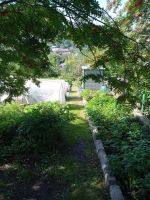 Лот: 25794022. Фото: 4. 2-комн. дача , СПК Строитель СПК... Красноярск