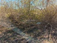 Лот: 25678817. Фото: 11. участок , ДНТ Молодёжное М ДНТ...