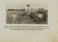 Лот: 17387502. Фото: 7. Кирилл Г.Хопкинс * Сказка о короле...