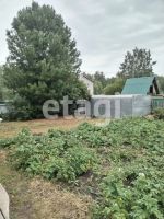 Лот: 25298844. Фото: 18. 3-комн. дача , СНТ Марс СНТ Марс...