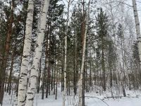 Лот: 17327588. Фото: 5. Участок