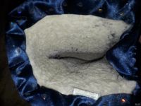 Лот: 17470832. Фото: 3. Сапоги antarctica 35-36. Дети растут