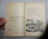Лот: 23562186. Фото: 5. Петров Б.М. Теплая земля. Страницы...