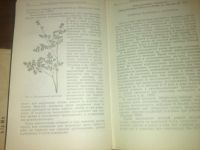Лот: 7801436. Фото: 3. лекарственные растения сибири. Литература, книги