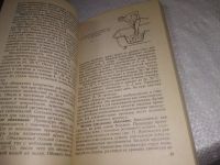 Лот: 23514749. Фото: 8. (3092311)Воробьев М. Г., Воробьев...