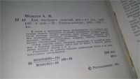 Лот: 10763366. Фото: 3. вбЮ/oz(4092391)Как построить сельский... Литература, книги