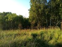 Лот: 7540124. Фото: 4. 20 соток. Ориентир - д. Старцево... Красноярск