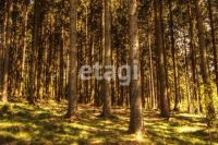 Лот: 25286942. Фото: 17. 4-комн. дом , садоводческое некоммерческое...