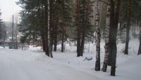 Лот: 9030752. Фото: 4. Участок 10 соток станция Минино. Красноярск