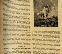 Лот: 15311418. Фото: 7. Мозаика . Иллюстрированный журнал...