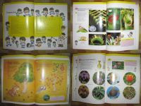 Лот: 23462. Фото: 3. Детская энциклопедия "Цветы и...