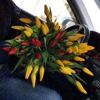 Лот: 11148267. Фото: 2. Тюльпаны , Голландия , Доставка... Комнатные растения и уход