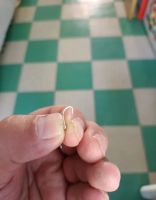 Лот: 25678509. Фото: 2. Крючек с напайкой 59шт одним лотом. Рыбалка