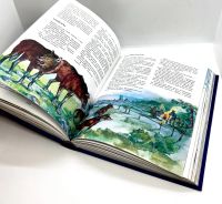Лот: 24580979. Фото: 7. 📘 Капитан Немо. Сборник приключений...